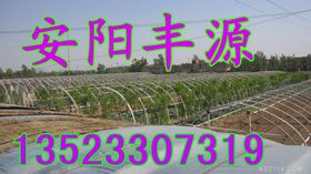 产品图49