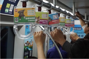 资讯类app实力派扎推 细分垂直领域才能走到最后
