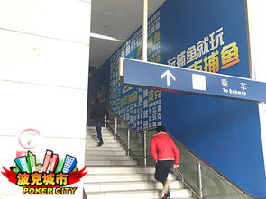 波克城市疯狂春运营销 广告攻陷机场铁路