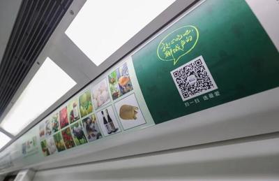 聊城农产品投放北京地铁车厢广告