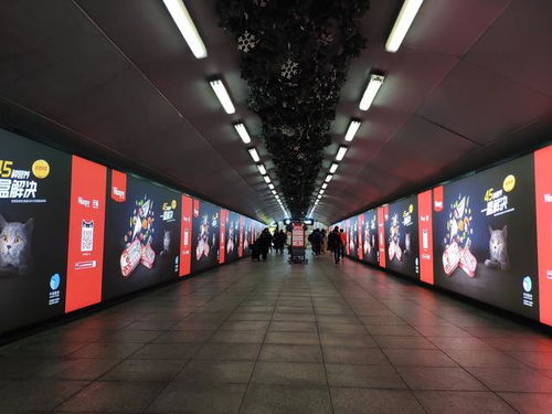 美国aafco标准,45种营养,一盒解决