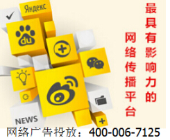 网络广告.网络广告投放案例.互联网广告