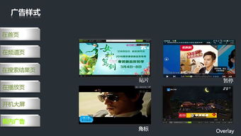爱奇艺信息 北京市信誉好的爱奇艺全站广告推广公司