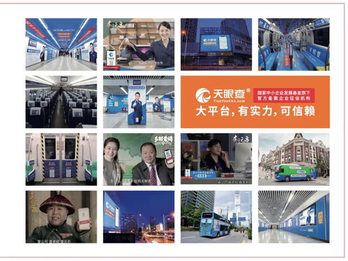 企业信息查询平台的 中场战事